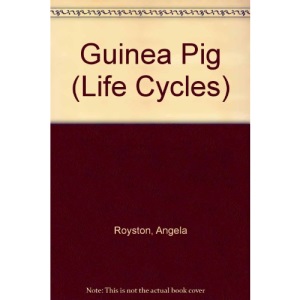 Life Cycle of a Guinea Pig
