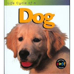 Dog (Life Cycles)