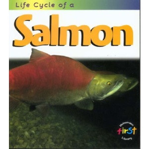 Salmon (Life Cycles)