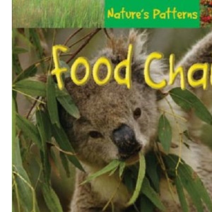 Hye Natures Pattern: Food Chains Paperback (Nature's Patterns)