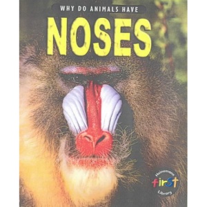 Why Do Animals Have Noses?