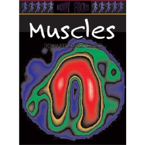Muscles (Body Focus)