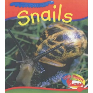 Snails (Little Nippers: Creepy Creatures)