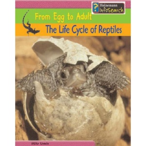 The Life Cycle of Reptiles: From Egg to Adult : From Egg to Adult (Heinemann Infosearch)