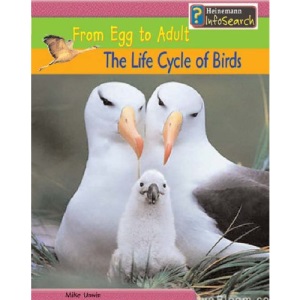 The Life Cycle of Birds: From Egg to Adult (Heinemann Infosearch)