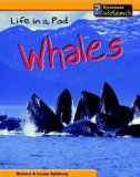 Animal Groups: Life in a Pod - Whales  (Animal Groups)