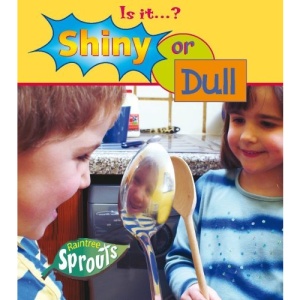 Little Nippers: Is It - Shiny or Dull  (Little Nippers)