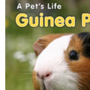 Guinea Pigs (Pet's Life) (A Pet's Life)