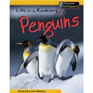 Life in a Rookery of Penguins (Animal Groups)