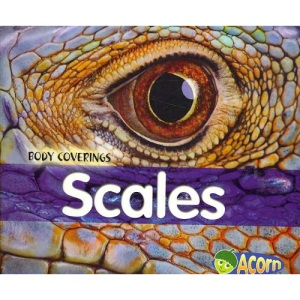 Scales (Body Coverings)