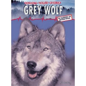 Grey Wolf  (Animals Under Threat)
