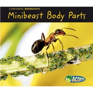 Minibeast Body Parts (Comparing Minibeasts)