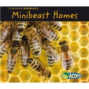 Minibeast Homes (Comparing Minibeasts)