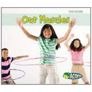 Our Muscles (Our Bodies)