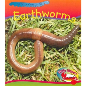Worm (Little Nippers: Creepy Creatures)
