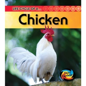 Life Cycle of a Chicken (Life Cycles)