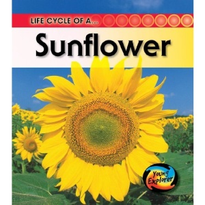 Life Cycle of a Sunflower (Life Cycles)