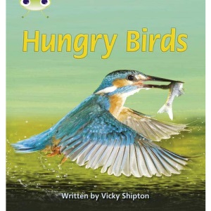 Bug Club Phonics Non-fiction Set 23 Hungry Birds (Phonics Bug)