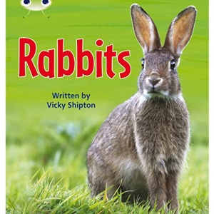 Bug Club Phonics Non Fiction Year Two Phase 5 Set 27 Rabbits