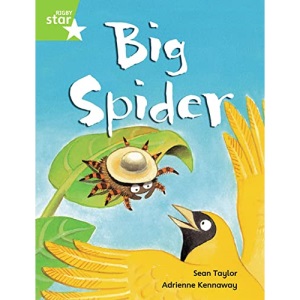 Rigby Star Guided Phonic Opportunity Readers Green: Big Spider Pupil Book (Single) (Star Phonics Opportunity Readers)