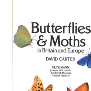Butterflies and Moths in Britain and Europe
