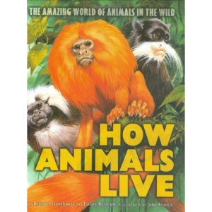 How Animals Live: Amazing World of Animals in the Wild, the