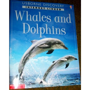 Whales and Dolphins (Usborne Discovery)