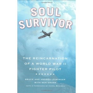 Soul Survivor: The Reincarnation of a World War II Fighter Pilot