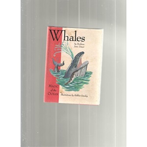 Whales:Magic Of The Ocean (Magic of the Ocean S.)
