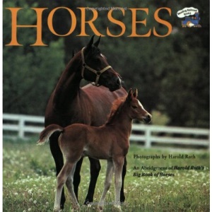 Horses (Grosset & Dunlap All Aboard Book)