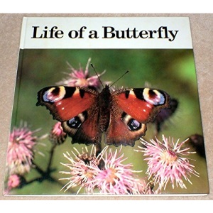 Life of a Butterfly