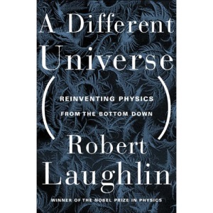 A Different Universe: Reinventing Physics from the Bottom Down