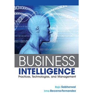 Business Intelligence