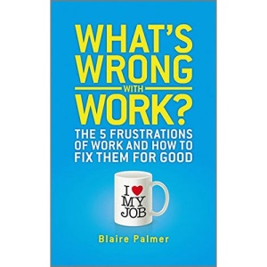 What's Wrong with Work: The 5 Frustrations of Work and How to Fix them for Good
