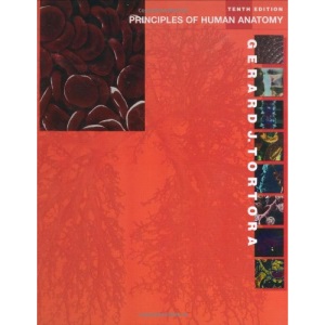 Principles of Human Anatomy