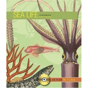 Sea Life (Dover Pictura)
