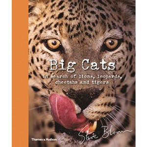Big Cats: In Search of Lions, Leopards, Cheetahs, and Tigers
