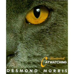 Illustrated Catwatching
