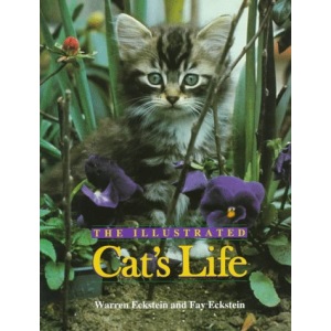 The Illustrated Cat's Life