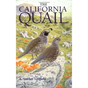 The California Quail