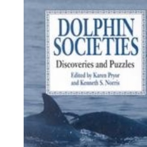 Dolphin Societies: Discoveries and Puzzles