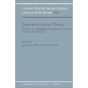 Geometric Group Theory: Volume 2: v. 2 (London Mathematical Society Lecture Note Series)