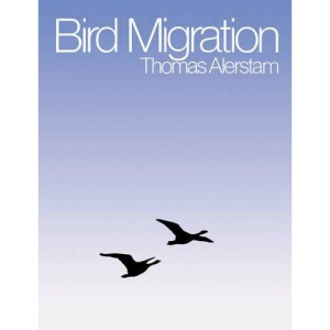 Bird Migration