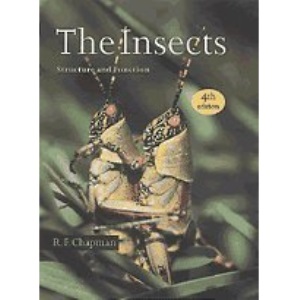 The Insects: Structure and Function