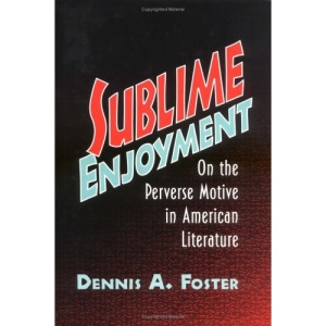 Sublime Enjoyment: On the Perverse Motive in American Literature (Cambridge Studies in American Literature and Culture)
