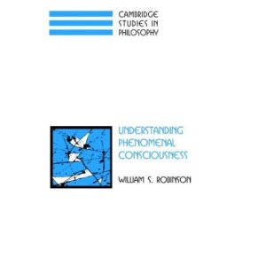 Understanding Phenomenal Consciousness (Cambridge Studies in Philosophy)