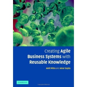 Creating Agile Business Systems with Reusable Knowledge