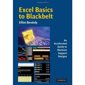 Excel Basics to Blackbelt: An Accelerated Guide to Decision Support Designs