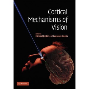 Cortical Mechanisms of Vision
