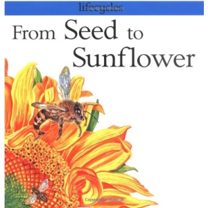 From Seed to Sunflower (Lifecycles)